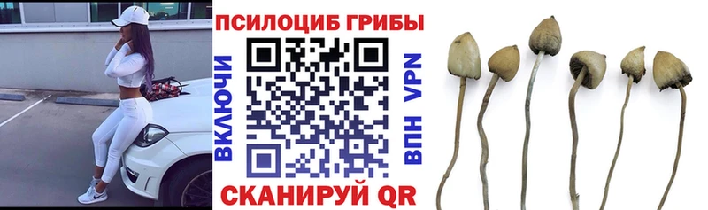 Псилоцибиновые грибы Magic Shrooms  Лыткарино 