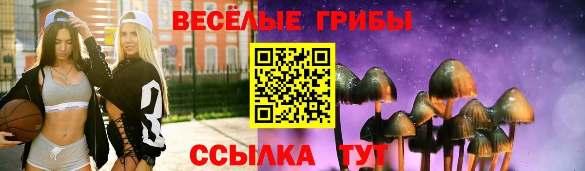 как найти закладки  Вход с VPN  Лыткарино  Галлюциногенные грибы Psilocybine cubensis 